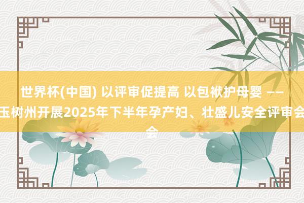 世界杯(中国) 以评审促提高 以包袱护母婴 ——玉树州开展2025年下半年孕产妇、壮盛儿安全评审会