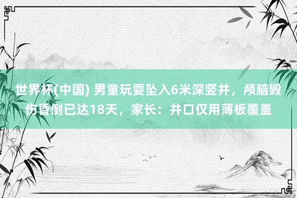 世界杯(中国) 男童玩耍坠入6米深竖井，颅脑毁伤昏倒已达18天，家长：井口仅用薄板覆盖