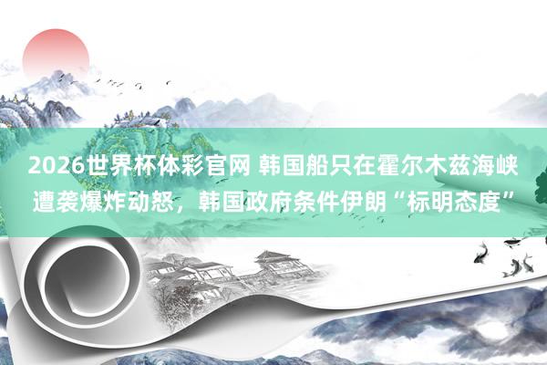 2026世界杯体彩官网 韩国船只在霍尔木兹海峡遭袭爆炸动怒,韩国政府条件伊朗“标明态度”