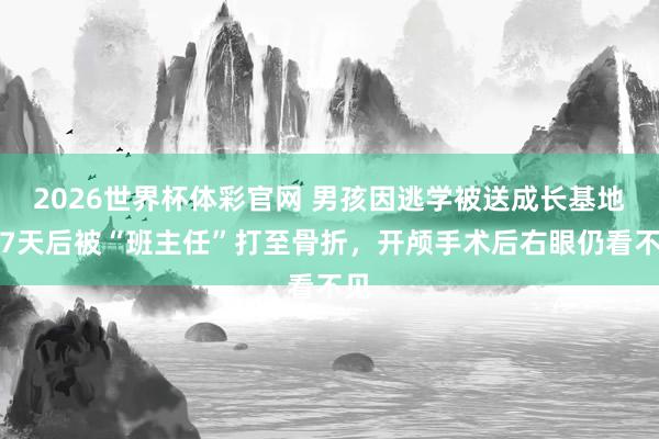 2026世界杯体彩官网 男孩因逃学被送成长基地,7天后被“班主任”打至骨折,开颅手术后右眼仍看不见
