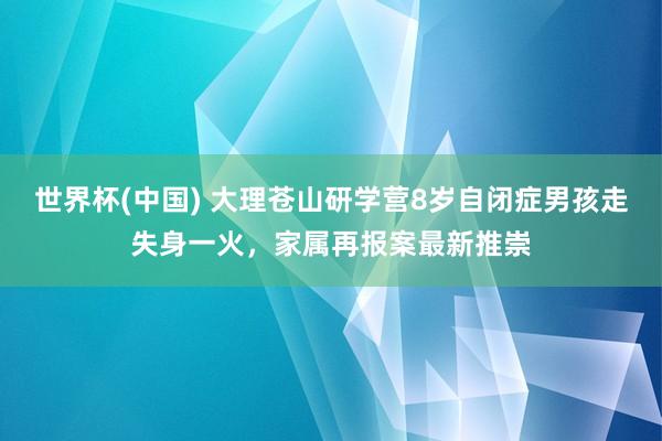 世界杯(中国) 大理苍山研学营8岁自闭症男孩走失身一火,家属再报案最新推崇