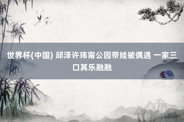 世界杯(中国) 邱泽许玮甯公园带娃被偶遇 一家三口其乐融融