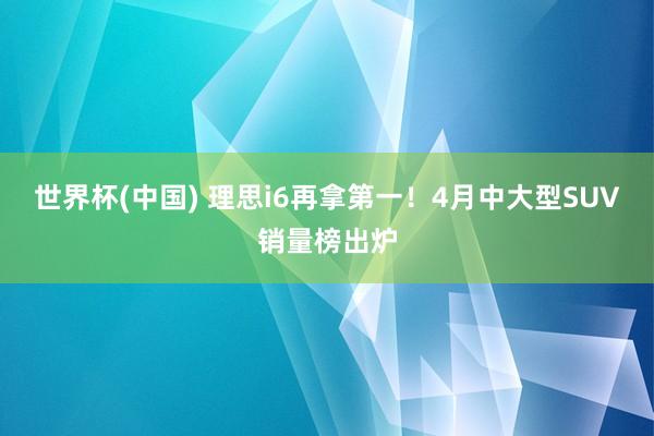 世界杯(中国) 理思i6再拿第一!4月中大型SUV销量榜出炉