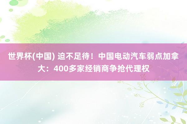 世界杯(中国) 迫不足待！中国电动汽车弱点加拿大：400多家经销商争抢代理权
