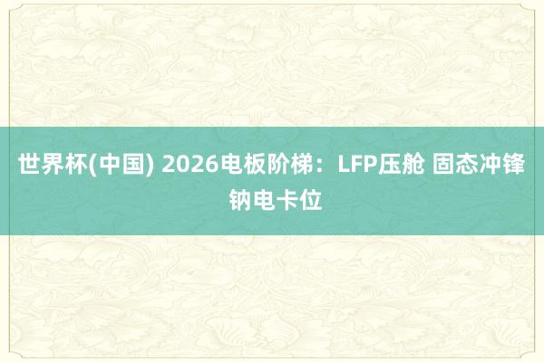 世界杯(中国) 2026电板阶梯:LFP压舱 固态冲锋 钠电卡位