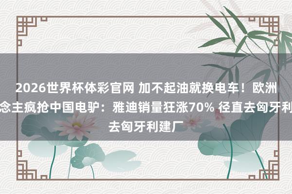 2026世界杯体彩官网 加不起油就换电车!欧洲东说念主疯抢中国电驴:雅迪销量狂涨70% 径直去匈牙利建厂