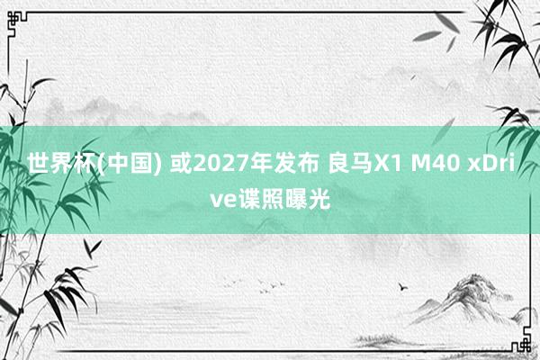 世界杯(中国) 或2027年发布 良马X1 M40 xDrive谍照曝光