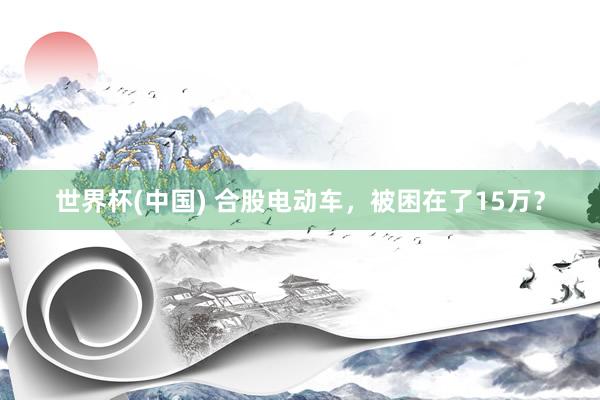 世界杯(中国) 合股电动车,被困在了15万?