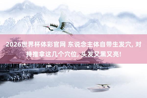 2026世界杯体彩官网 东说念主体自带生发穴, 对持推拿这几个穴位, 头发又黑又亮!