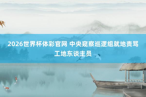 2026世界杯体彩官网 中央窥察巡逻组就地责骂工地东谈主员