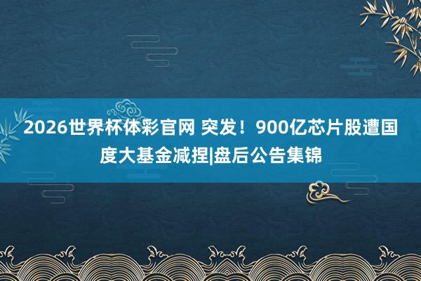 2026世界杯体彩官网 突发!900亿芯片股遭国度大基金减捏|盘后公告集锦