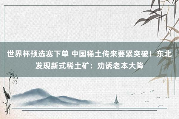 世界杯预选赛下单 中国稀土传来要紧突破!东北发现新式稀土矿:劝诱老本大降