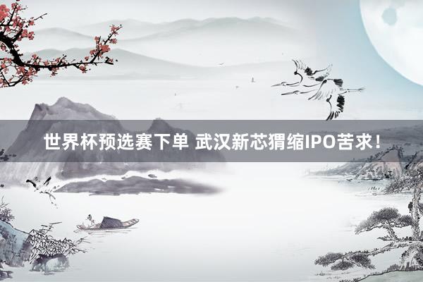 世界杯预选赛下单 武汉新芯猬缩IPO苦求!