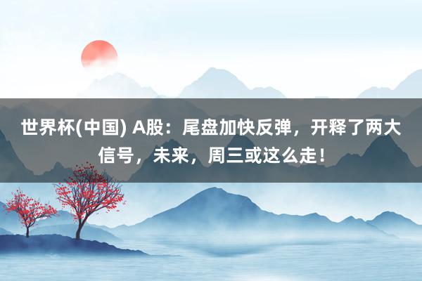 世界杯(中国) A股:尾盘加快反弹,开释了两大信号,未来,周三或这么走!