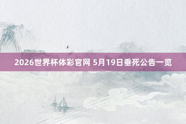 2026世界杯体彩官网 5月19日垂死公告一览
