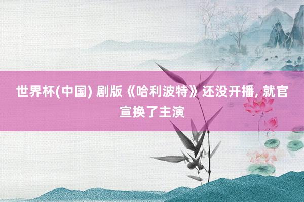 世界杯(中国) 剧版《哈利波特》还没开播, 就官宣换了主演