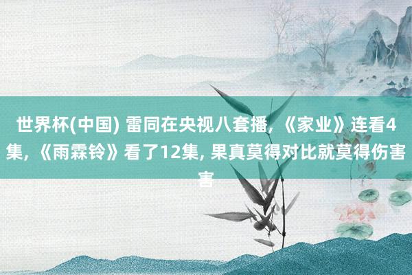 世界杯(中国) 雷同在央视八套播, 《家业》连看4集, 《雨霖铃》看了12集, 果真莫得对比就莫得伤害