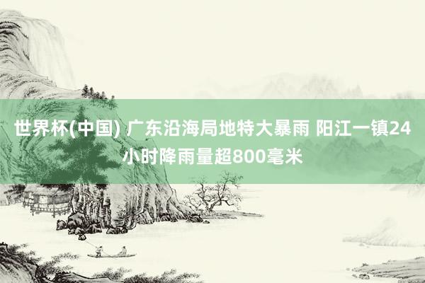 世界杯(中国) 广东沿海局地特大暴雨 阳江一镇24小时降雨量超800毫米