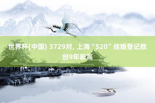 世界杯(中国) 3729对, 上海“520”结婚登记数创9年新高