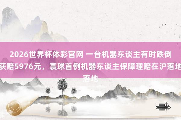 2026世界杯体彩官网 一台机器东谈主有时跌倒获赔5976元,寰球首例机器东谈主保障理赔在沪落地