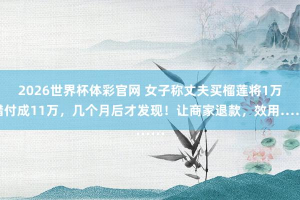 2026世界杯体彩官网 女子称丈夫买榴莲将1万错付成11万,几个月后才发现!让商家退款,效用……