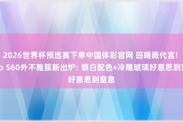 2026世界杯预选赛下单中国体彩官网 田曦薇代言! vivo S60外不雅簇新出炉: 银白配色+冷雕玻璃好意思到窒息