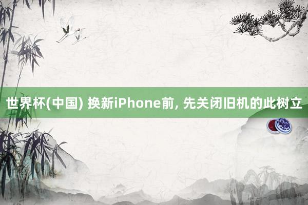 世界杯(中国) 换新iPhone前, 先关闭旧机的此树立