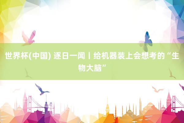 世界杯(中国) 逐日一闻丨给机器装上会想考的“生物大脑”