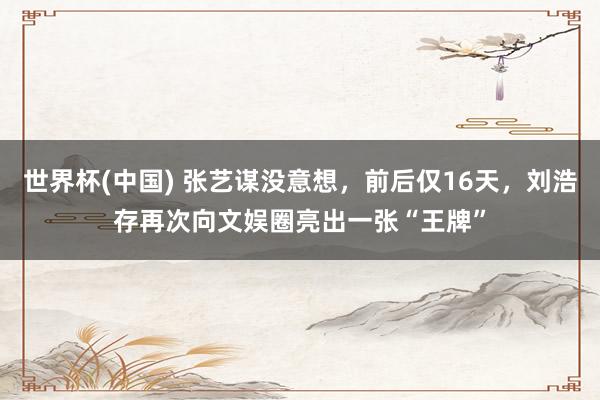 世界杯(中国) 张艺谋没意想,前后仅16天,刘浩存再次向文娱圈亮出一张“王牌”