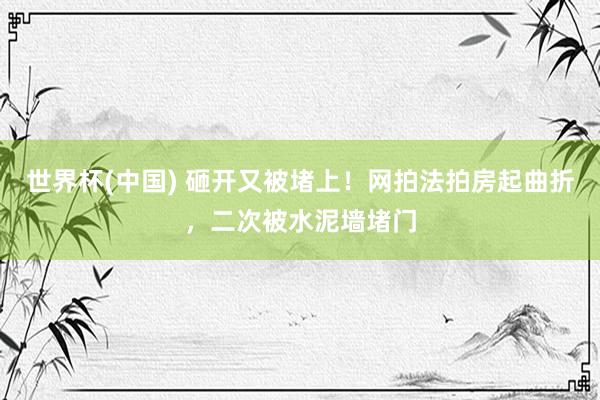 世界杯(中国) 砸开又被堵上!网拍法拍房起曲折,二次被水泥墙堵门