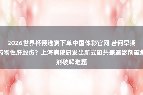 2026世界杯预选赛下单中国体彩官网 若何早期发现药物性肝毁伤?上海病院研发出新式磁共振造影剂破解难题