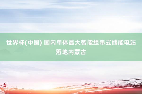 世界杯(中国) 国内单体最大智能组串式储能电站落地内蒙古