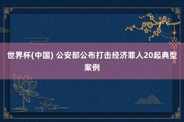世界杯(中国) 公安部公布打击经济罪人20起典型案例