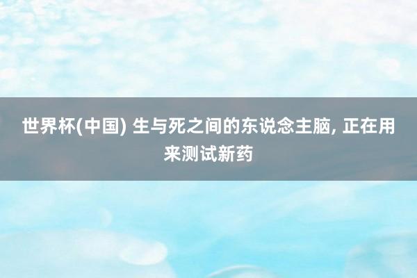 世界杯(中国) 生与死之间的东说念主脑, 正在用来测试新药