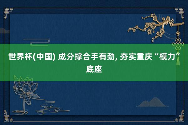世界杯(中国) 成分撑合手有劲, 夯实重庆“模力”底座