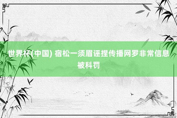 世界杯(中国) 宿松一须眉诬捏传播网罗非常信息被科罚