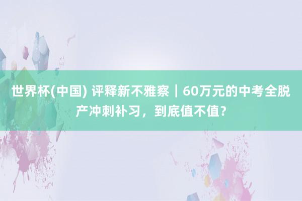 世界杯(中国) 评释新不雅察|60万元的中考全脱产冲刺补习,到底值不值?