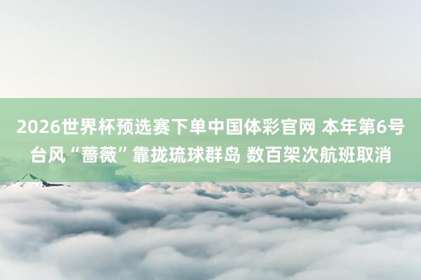 2026世界杯预选赛下单中国体彩官网 本年第6号台风“蔷薇”靠拢琉球群岛 数百架次航班取消