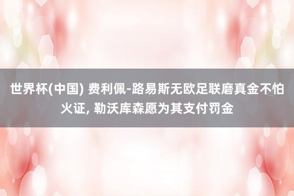 世界杯(中国) 费利佩-路易斯无欧足联磨真金不怕火证, 勒沃库森愿为其支付罚金