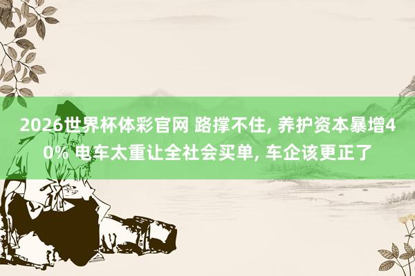 2026世界杯体彩官网 路撑不住, 养护资本暴增40% 电车太重让全社会买单, 车企该更正了