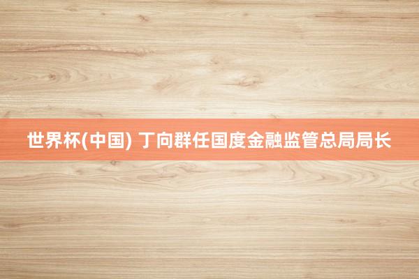 世界杯(中国) 丁向群任国度金融监管总局局长