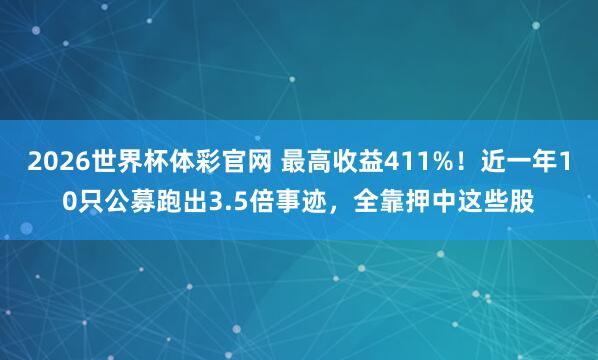 2026世界杯体彩官网 最高收益411%!近一年10只公募跑出3.5倍事迹,全靠押中这些股