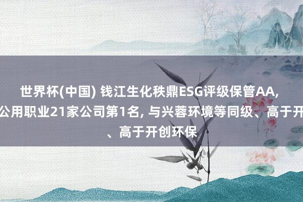 世界杯(中国) 钱江生化秩鼎ESG评级保管AA, 位居水公用职业21家公司第1名, 与兴蓉环境等同级、高于开创环保