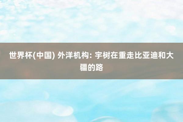 世界杯(中国) 外洋机构: 宇树在重走比亚迪和大疆的路