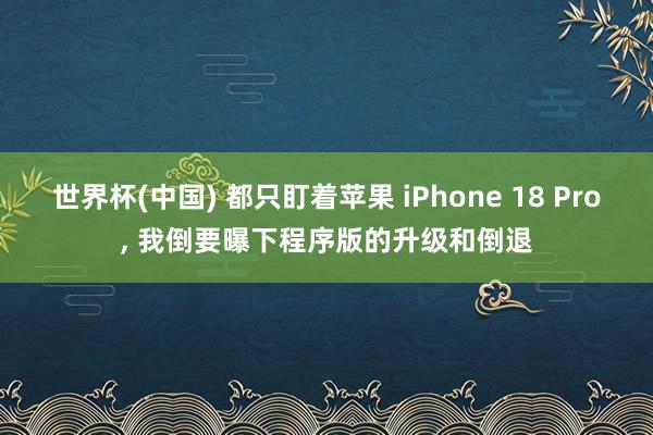 世界杯(中国) 都只盯着苹果 iPhone 18 Pro, 我倒要曝下程序版的升级和倒退