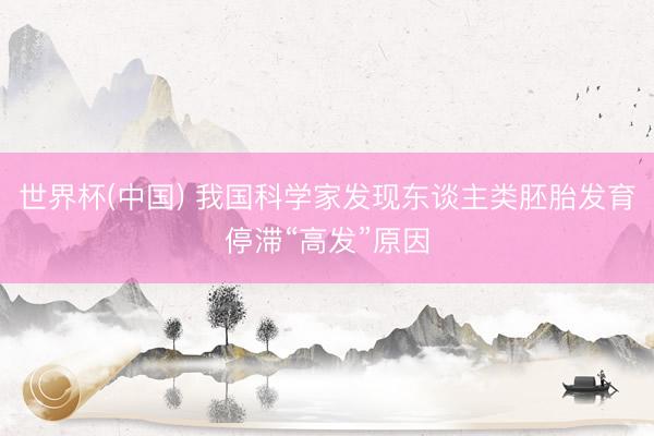 世界杯(中国) 我国科学家发现东谈主类胚胎发育停滞“高发”原因