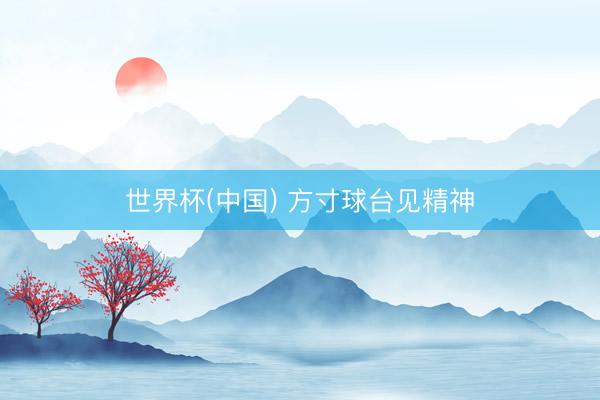 世界杯(中国) 方寸球台见精神