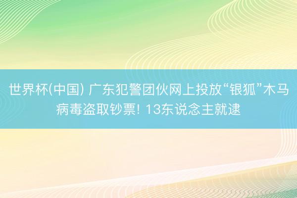 世界杯(中国) 广东犯警团伙网上投放“银狐”木马病毒盗取钞票! 13东说念主就逮