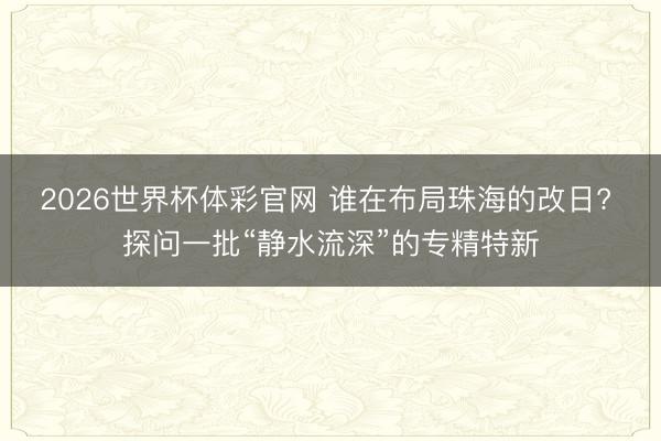 2026世界杯体彩官网 谁在布局珠海的改日? 探问一批“静水流深”的专精特新