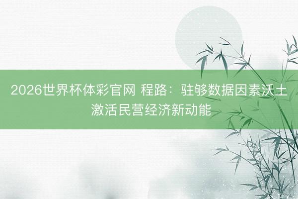 2026世界杯体彩官网 程路:驻够数据因素沃土 激活民营经济新动能